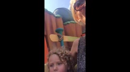 Funny rollercoaster
