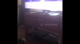 Mr. Bill Murray watches his favorite movie 