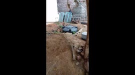 My doggy roody try to catch rat