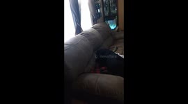 Pop goes Trixie ha ha ha