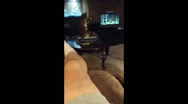 Best Tablefight Ever!!!