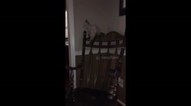 It’s a balancing act!