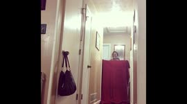 Don’t try dog prank with socks and hardwood floors 