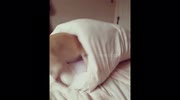 temp
