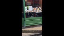 Man walks a banana down the street