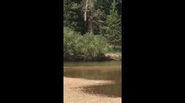 by canoe across the river