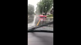 Ninja Turtles are here