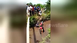 Angry mob catch huge crocodile roaming around homes in Indonesia