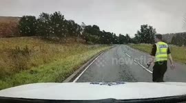 This is the hilarious moment a police officer attempts to direct an errant cow back to its field