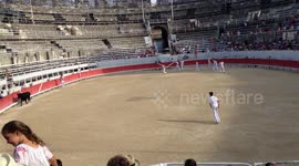 France - Arles French bullfighting
