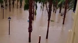 Aftermath of Hurricane Odile