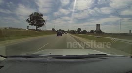 Family of Ducks cause an accident