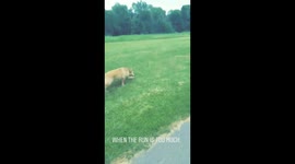 When the cardio is too much