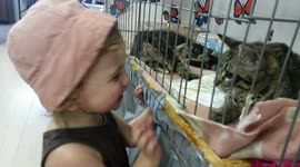 Toddler Squeals Over Kittens for Adoption
