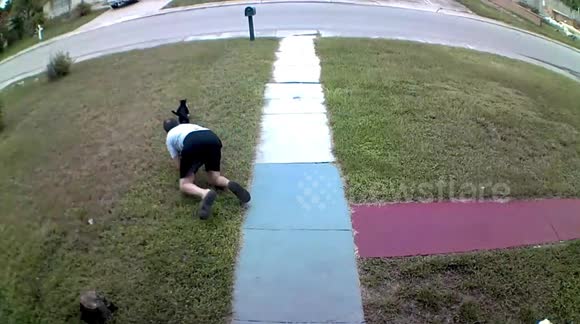 Newsflare Edit - This man's reaction to his wife's cat great escape will have you in stitches