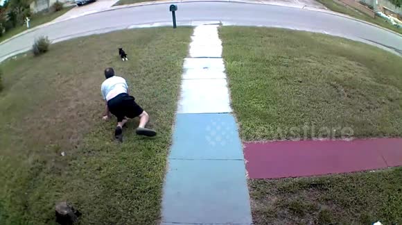 Florida man's reaction to cat's great escape will have you in stitches