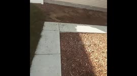 Stella Hides the Evidence