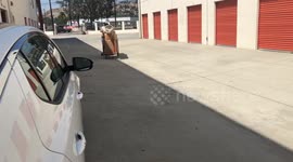 Filipino shirtless man pushing storage cart while moving out on a hover board