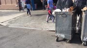 temp
