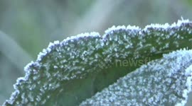 Frost on Indonesia's scenic Mount Bromo