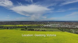Wild Kangaroo-Emu-Canola Drone Australia