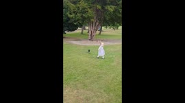 Funny video.  Baby chased by magpie.