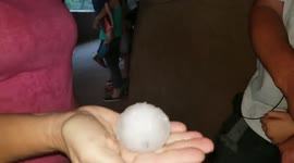 Monster hail pummels Colorado zoo