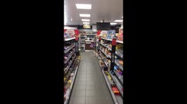 Doggo working hard at the supermarket