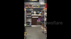 This adorable checkout dog is everybody's employee of the month