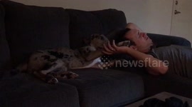 The most lovable puppy you’ll ever see