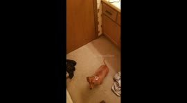 Soaking a weiner, with my weiner