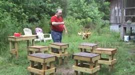 Extreme Chicken Hop!