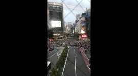 Shibuya Scramble (boomerang)