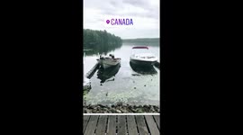 Canada beautiful 360° view