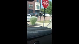 Car goes airborne and slams into building.