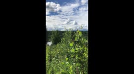 Amazing Homer Alaska