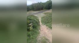 Newsflare Edit - Clueless pup isn't quite so good at fetch