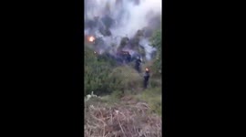 Firefighters tackle blaze on Greek island of Evia as families evacuated