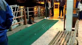 Galapagos sea lions at the Puerto Ayora pier climbing up the seats and scratching.