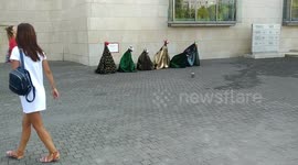 Spotted doggo doing a heckin bamboozled bork at some street performers