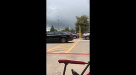 Dog rescue from scorching heat