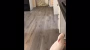 temp