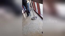 Newsflare Edit - Lion attempts to attack a clueless boy