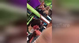 Cheeky dog is caught staring at woman