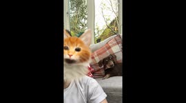 Snapchat filter annoys the dog