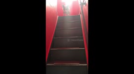 Corgi plopping down the stairs. What goes up must come down @link.the.corgi