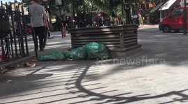 Rad boarding over underground Victorian toilets