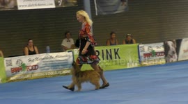 Hardy Heart and owner Polina Il'ina