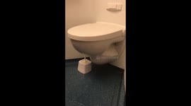 So this happened twice on Carnival cruise ship SPLENDOR!!