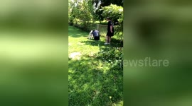 Newsflare Edit - Enjoy this video of my dog carrying around a trash can ???? https://t.co/FY8dhWPo0R